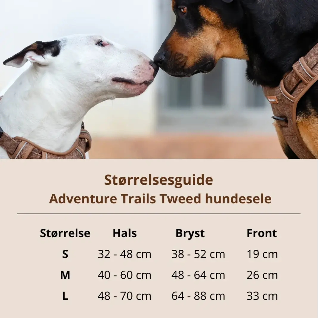 Collarfull Adventure Trails Hundesele – billede 7