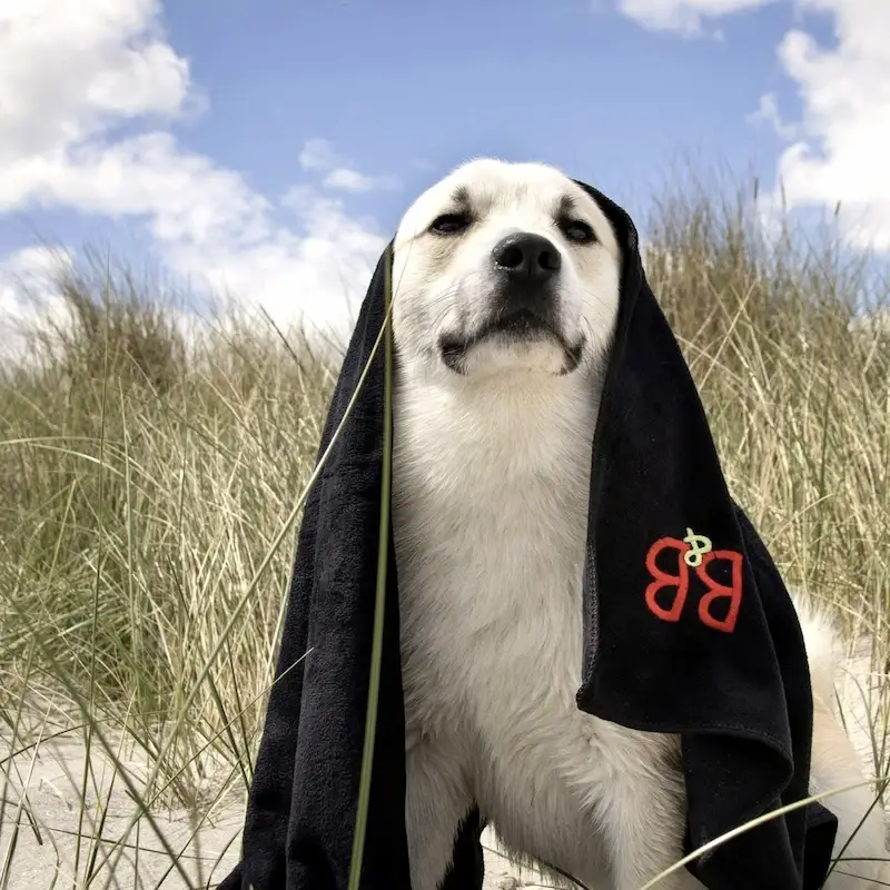 B&B Hundehåndklæde 55x90 S/M – billede 7