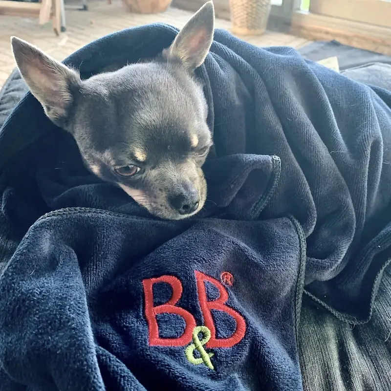 B&B Hundehåndklæde 55x90 S/M – billede 8