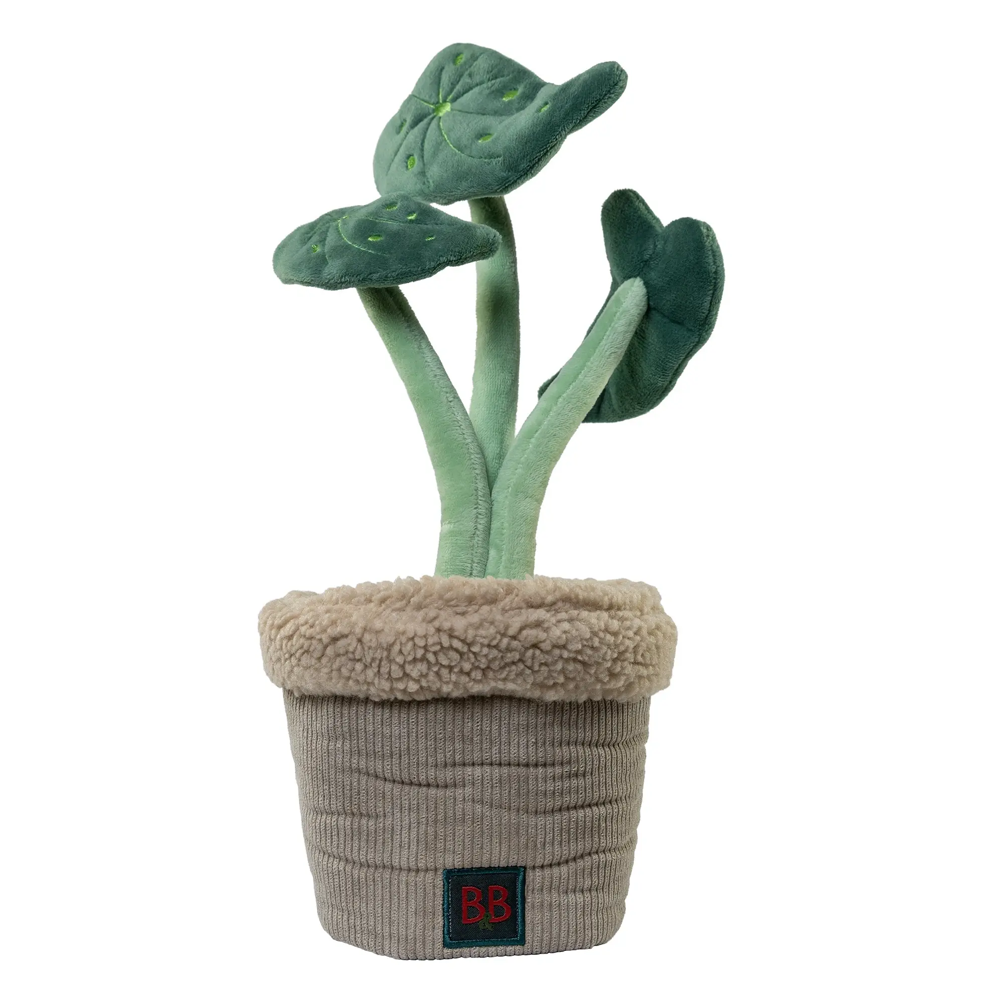 B&B Pawtanic Garden – billede 5