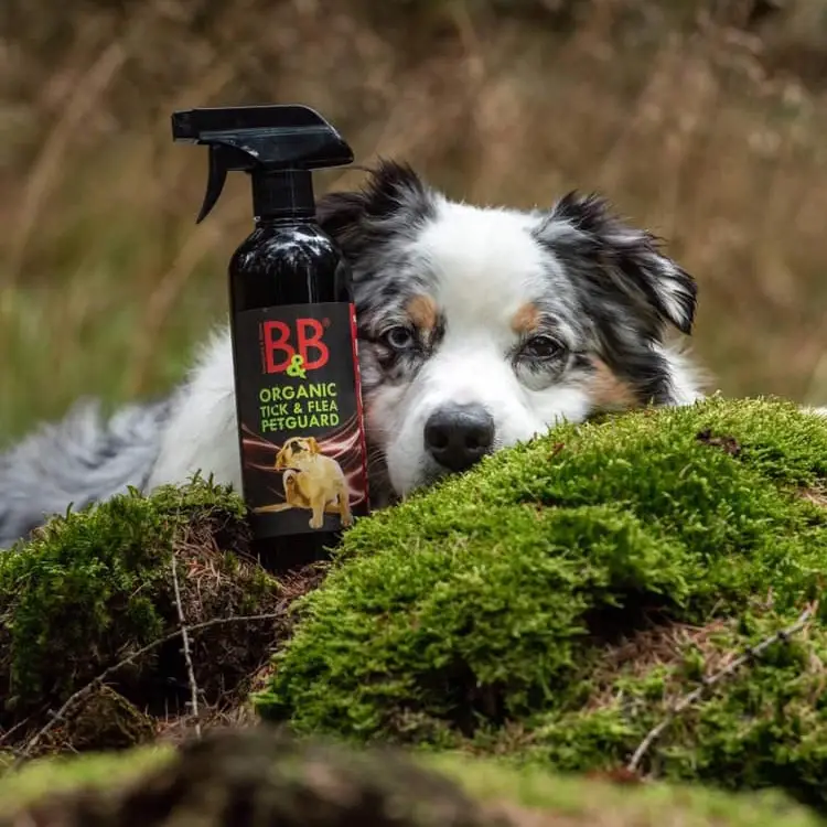 B&B Økologisk Tick & Flea Pet Guard – billede 4