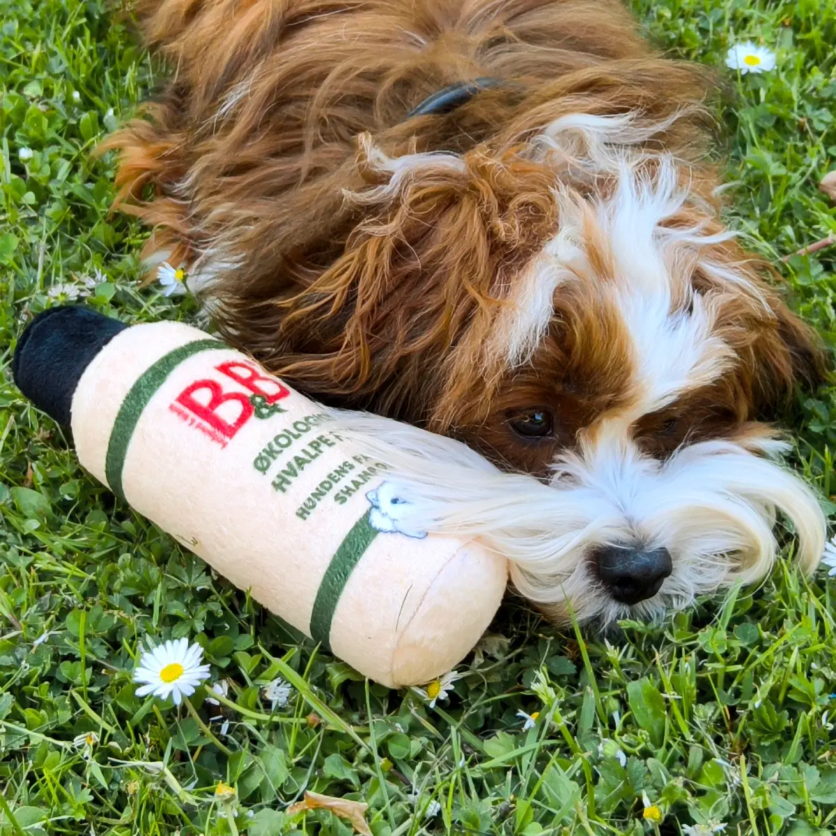 B&B Hundens Favorit Shampoo Plys – billede 6
