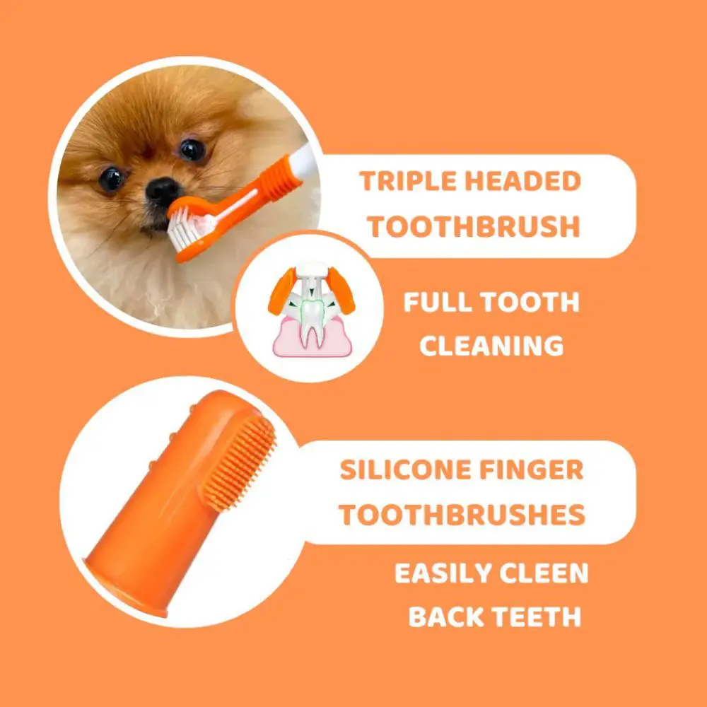 Dogslife Tandplejesæt - Tanspasta, Fingerbørster & 3-hoved Tandbørste – billede 2