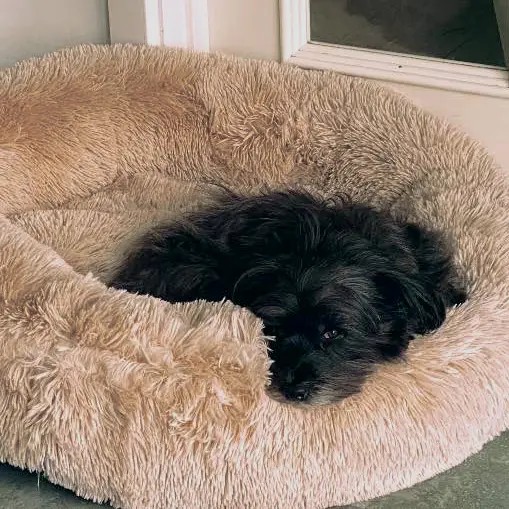 Fluffy Donutkurv – billede 4