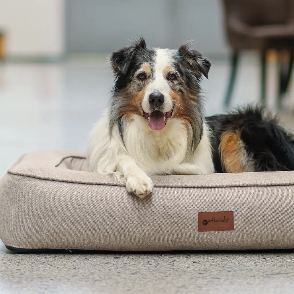Petlando Lima Ortopædisk Hundeseng – billede 8