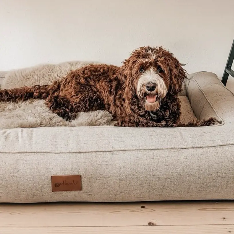 Petlando Lima Ortopædisk Hundeseng – billede 6