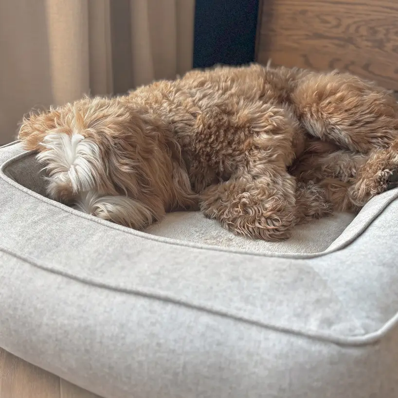 Petlando Lima Ortopædisk Hundeseng – billede 3