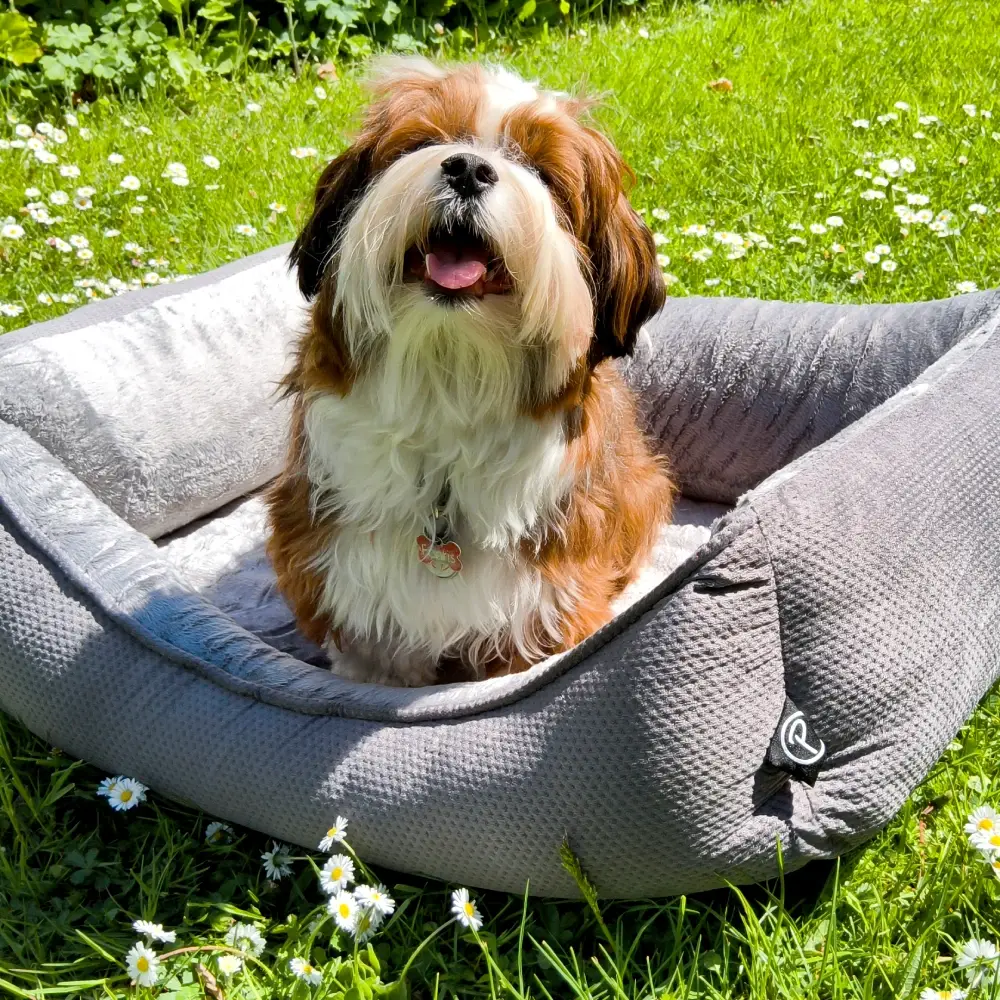 Petlando Lucy Ortopædisk Hundeseng – billede 11
