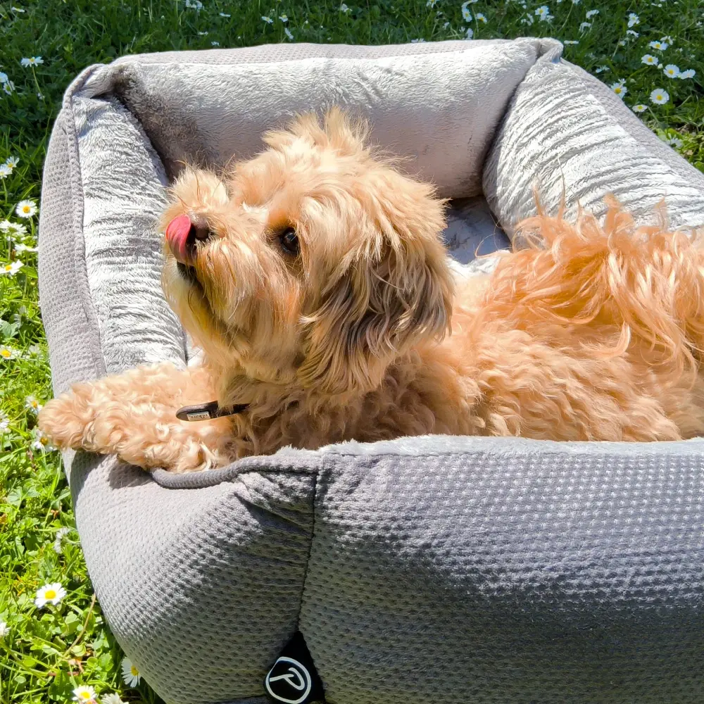 Petlando Lucy Ortopædisk Hundeseng – billede 9