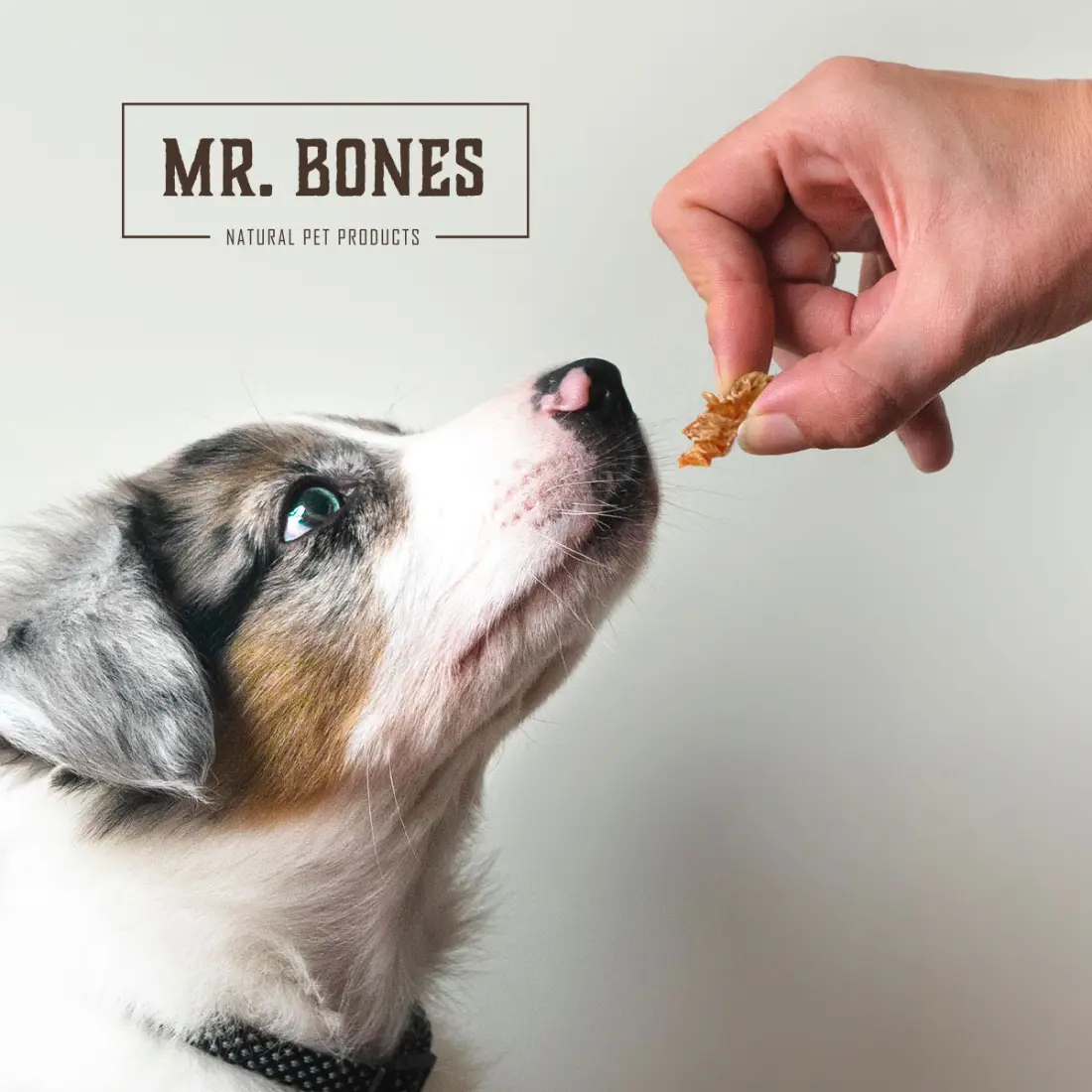 Mr. Bones Raw Treats Kyllingebryst - 45g – billede 2