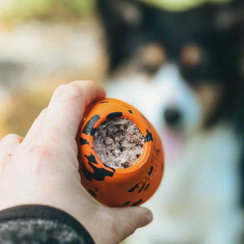 Non-Stop Dogwear Non-Stop 2i1 Kastelegetøj & Aktiveringslegetøj - Orange & Sort – billede 3