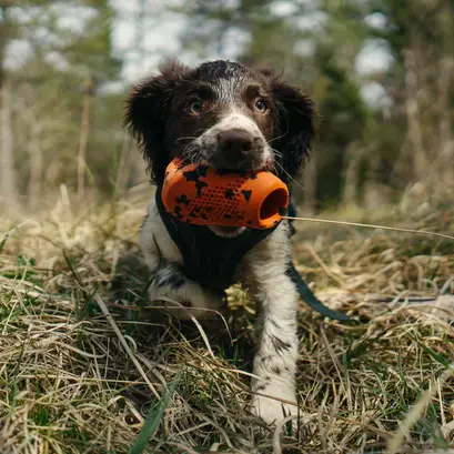Non-Stop Dogwear Non-Stop 2i1 Kastelegetøj & Aktiveringslegetøj - Orange & Sort – billede 7