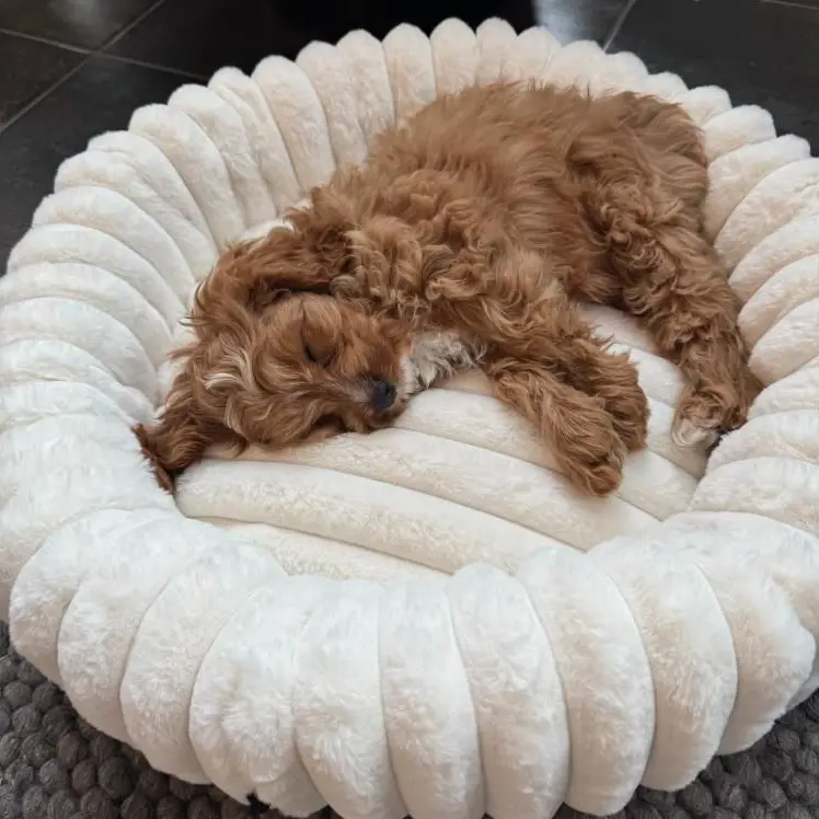 Ripple Comfort Donutkurv