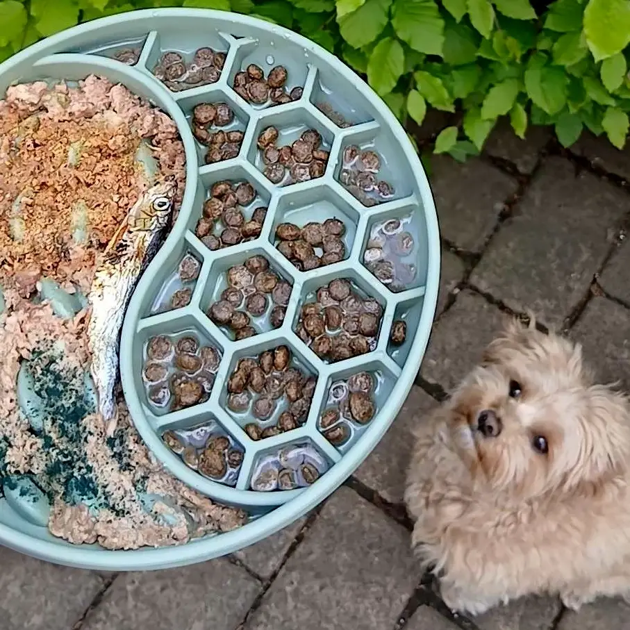 Nordic Paws Ocean Slikkemåtte - Moss – billede 2