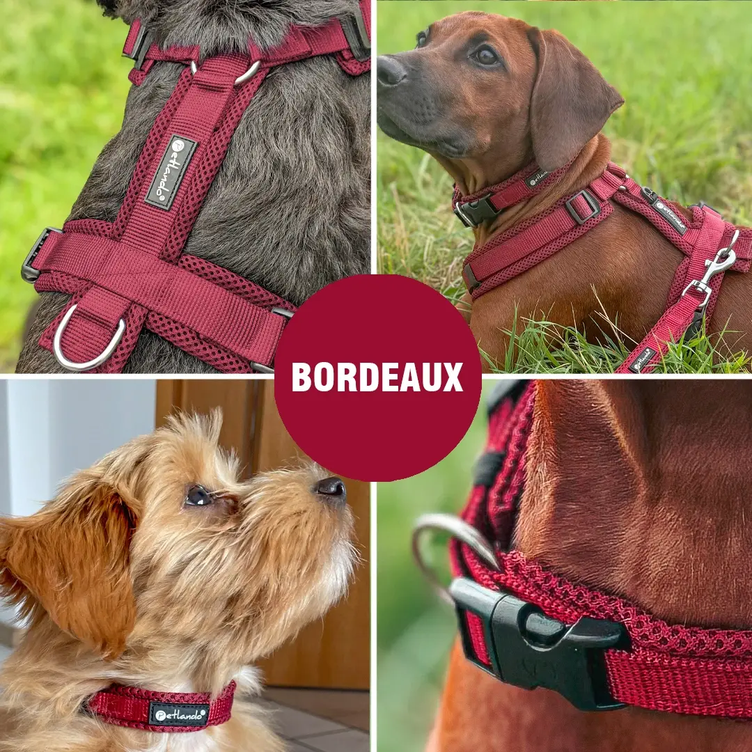 Petlando Mesh Vest Hundesele – billede 5