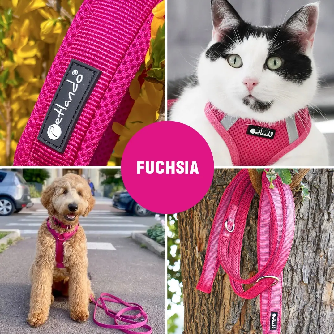 Petlando Mesh Vest Hundesele – billede 5