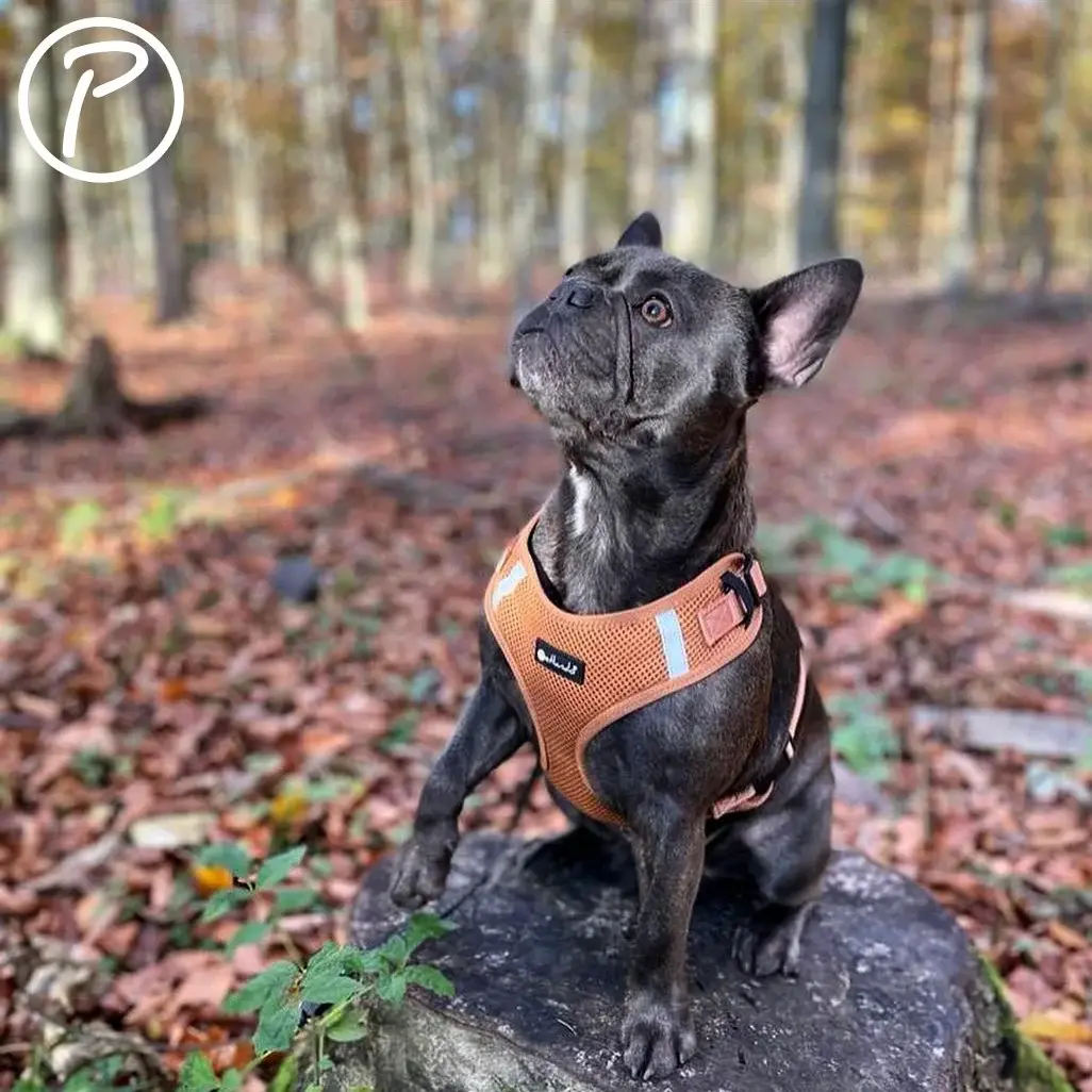 Petlando Mesh Vest Hundesele – billede 5