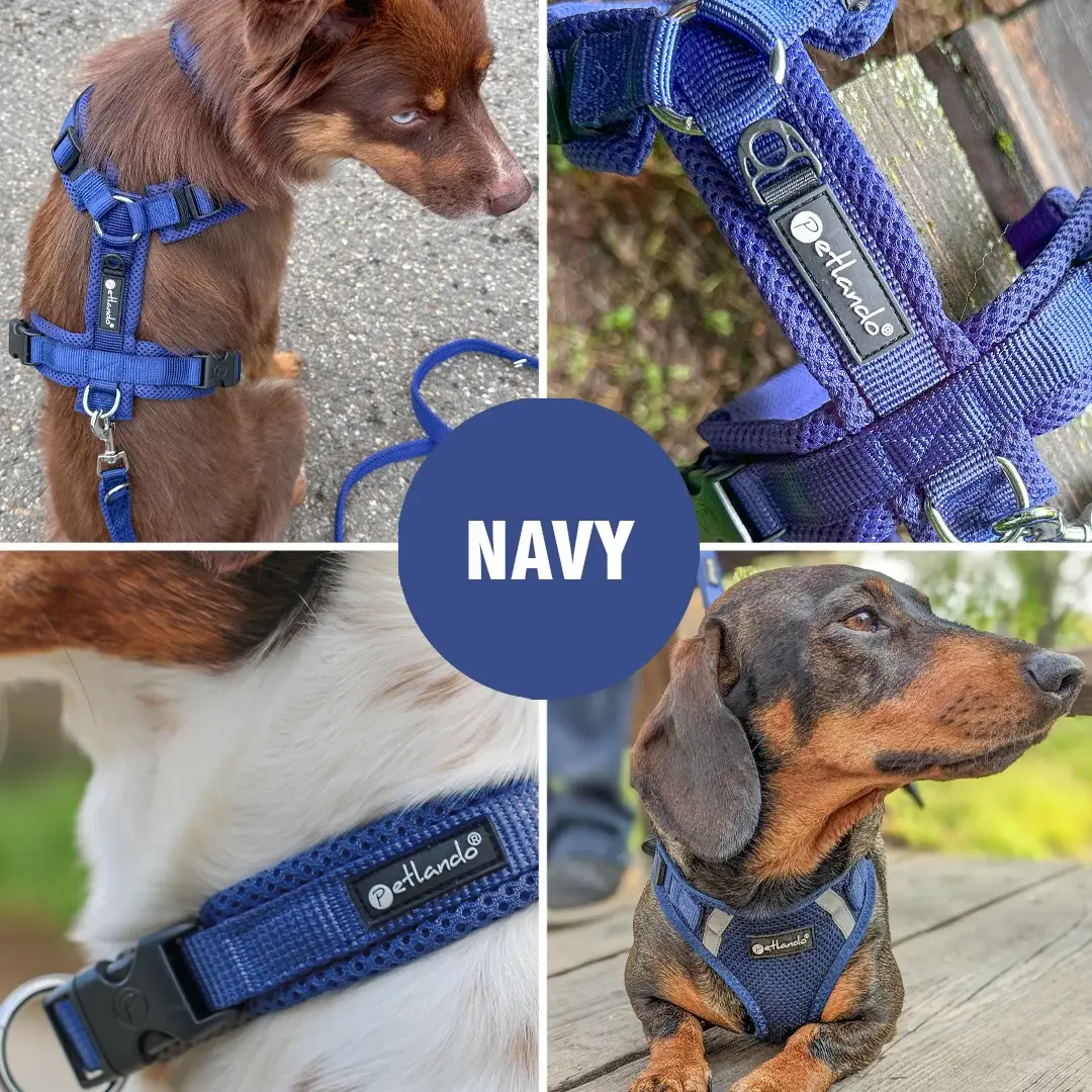 Petlando Mesh Vest Hundesele – billede 8