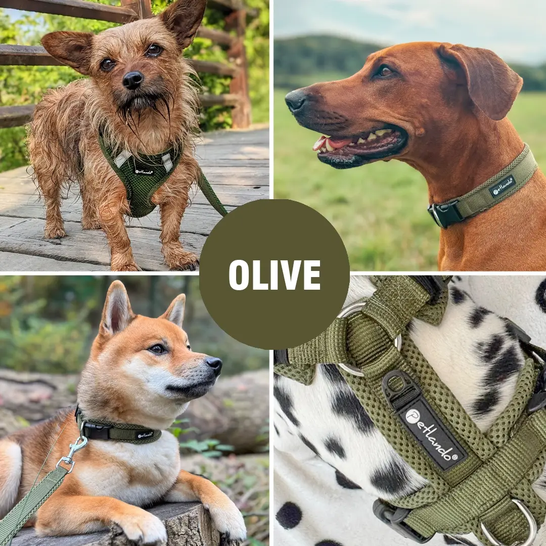 Petlando Mesh Vest Hundesele – billede 5
