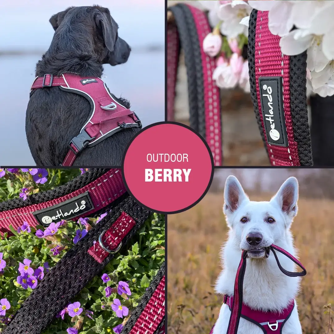 Petlando Outdoor Hundesele – billede 10
