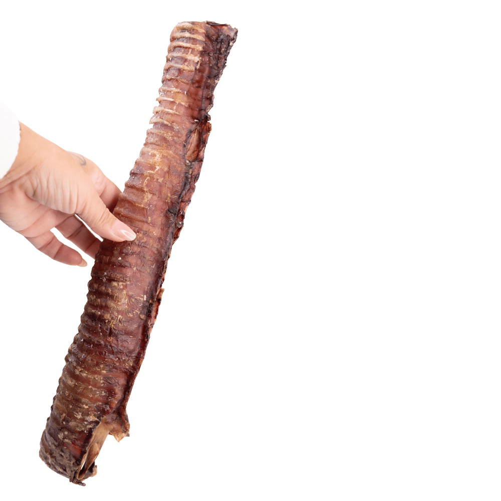 Snack'it Okseluftrør 40cm – billede 3