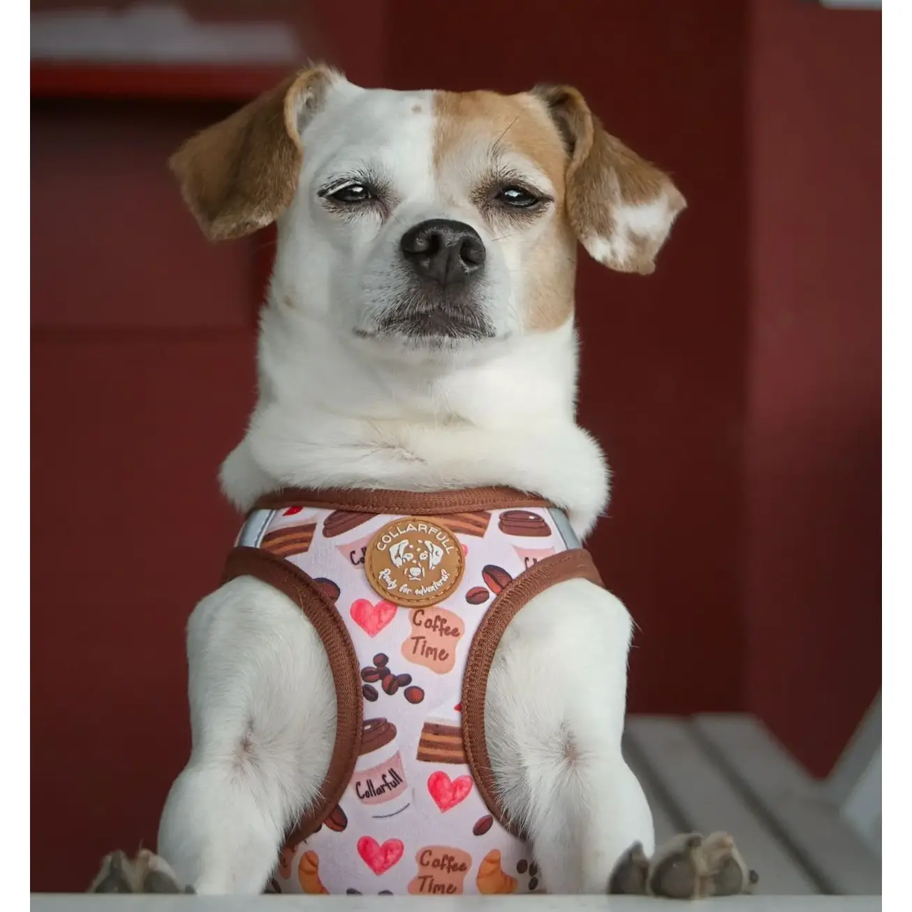 Collarfull Tiny Trails Step-in Hundesele – billede 4