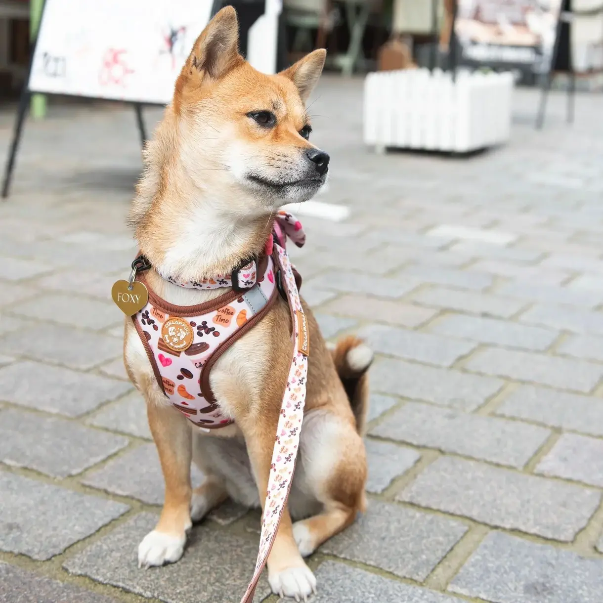 Collarfull Tiny Trails Step-in Hundesele – billede 7