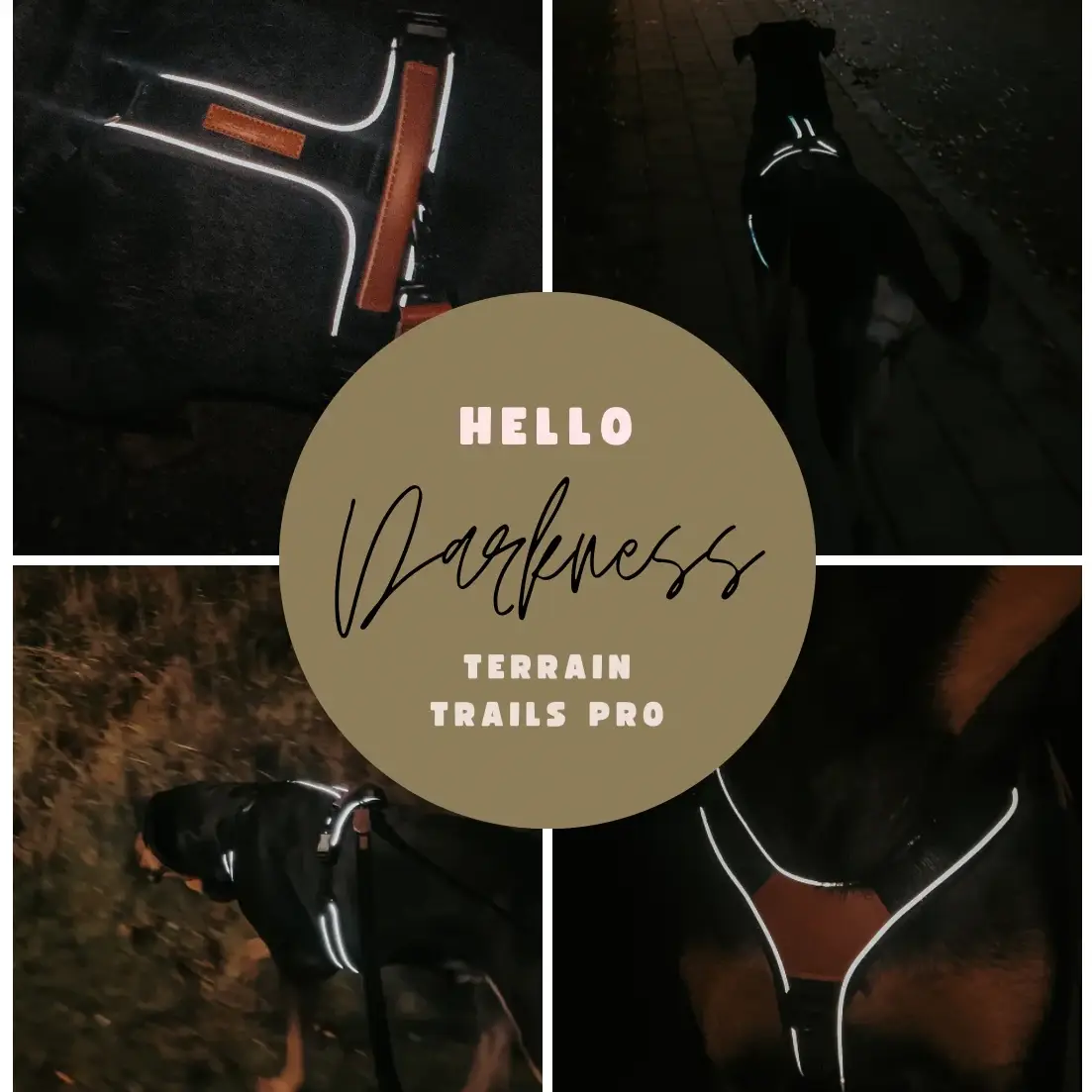 Collarfull Terrain Trails Pro Hundesele – billede 8