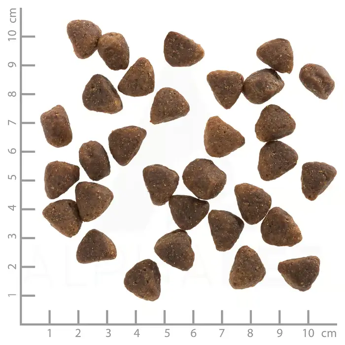 Wolfsblut Hunters Pride Vildtkød – billede 3