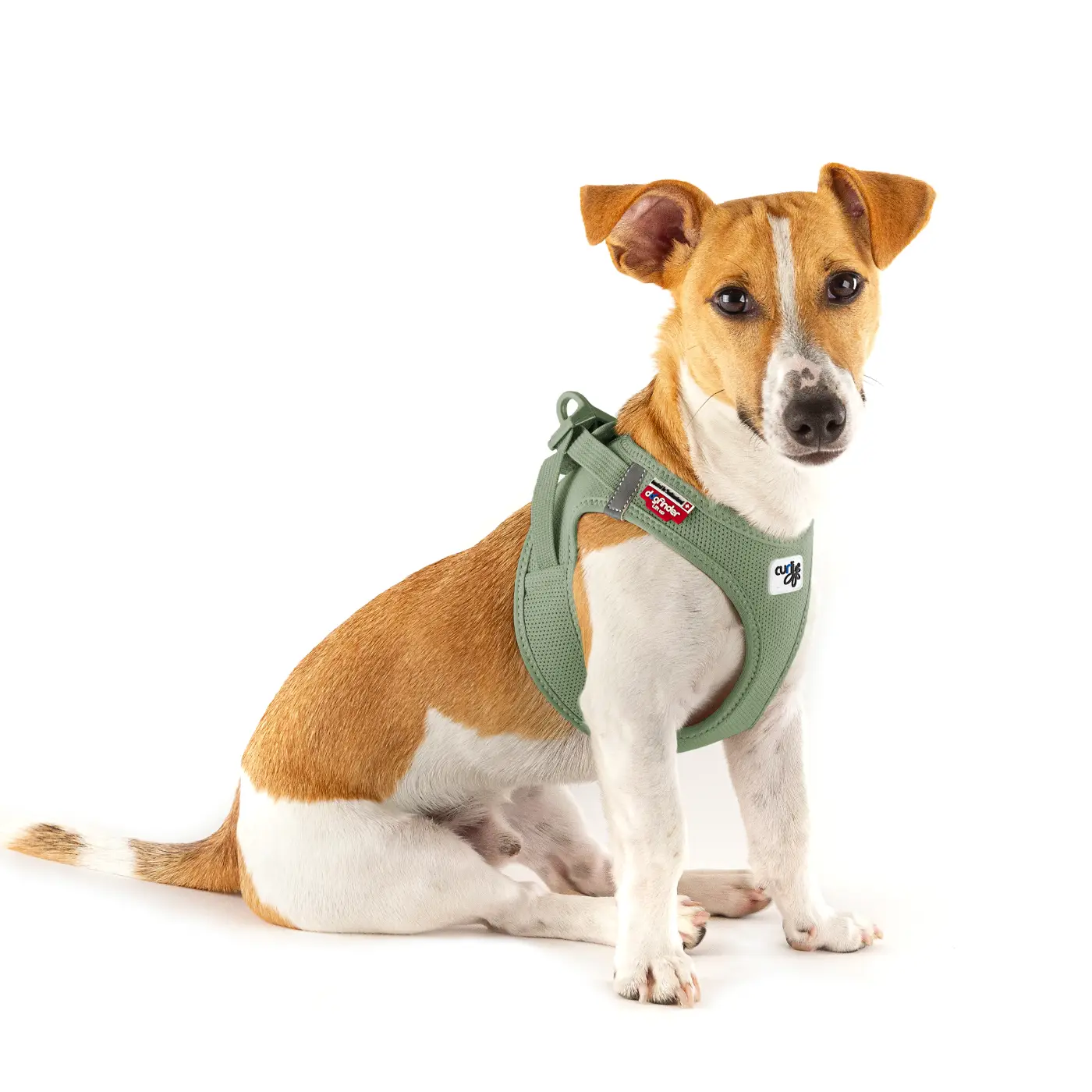 Curli Air Mesh Step-in Hundesele – billede 4