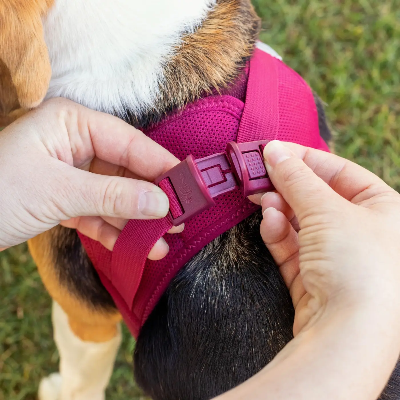 Curli Air Mesh Step-in Hundesele – billede 3