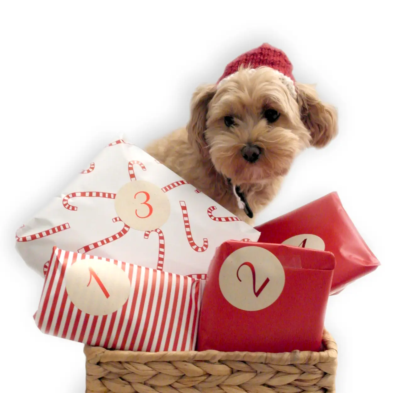 Ultimativ Adventskalender – billede 2