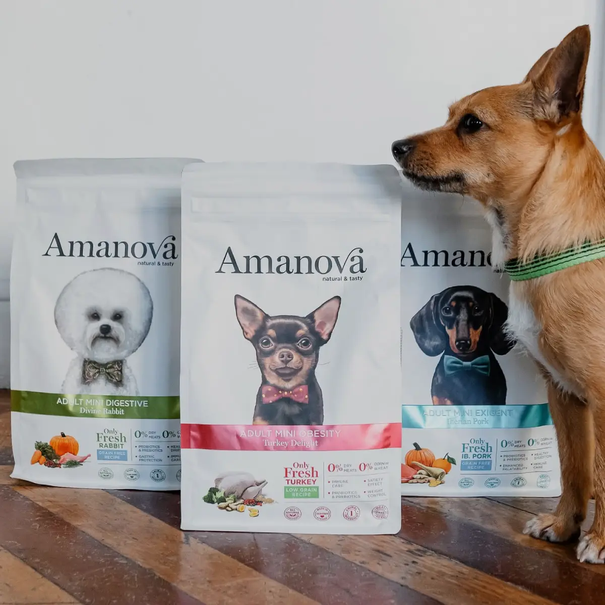 Amanova Kanin - Til små hunde – billede 9