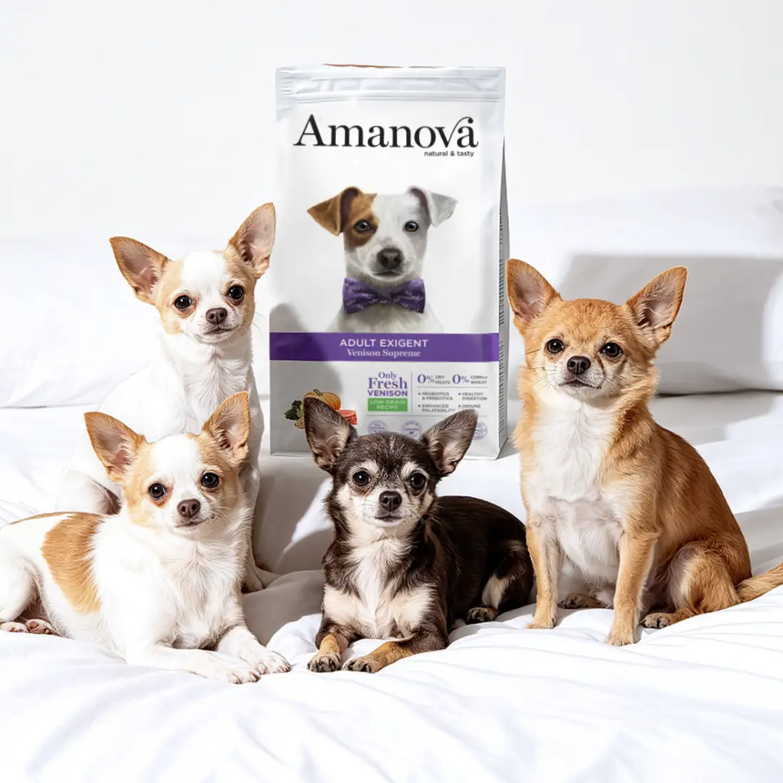 Amanova Hjort - Til kræsne hunde – billede 5