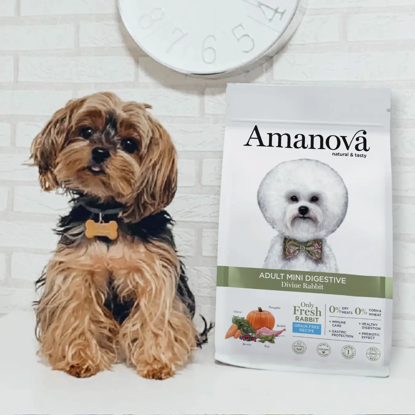 Amanova Kanin - Til små hunde – billede 5
