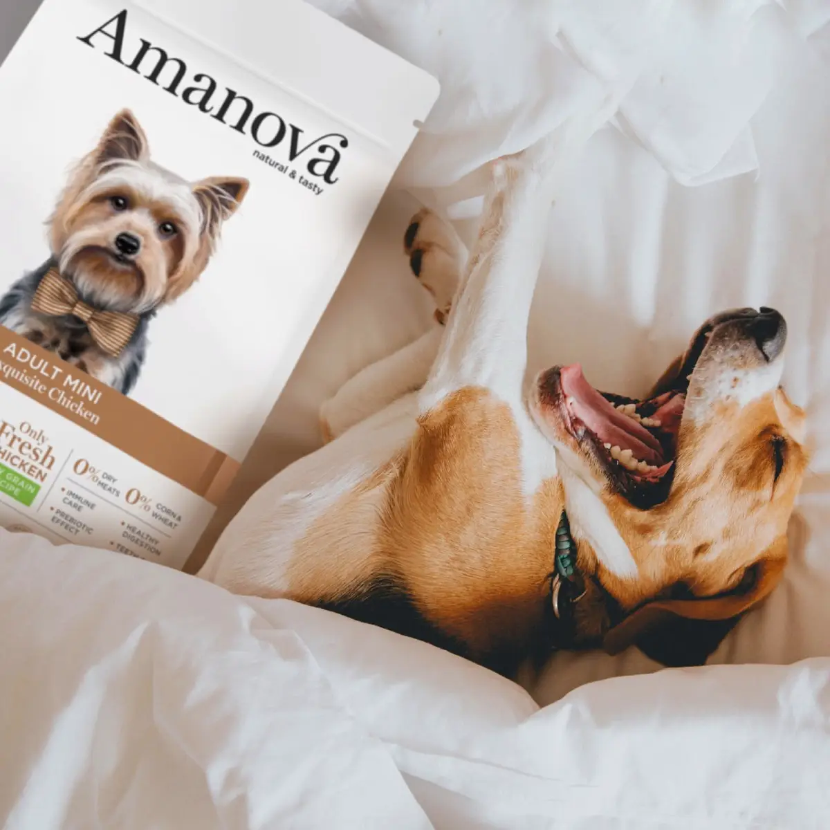 Amanova Kylling - Til små hunde – billede 12