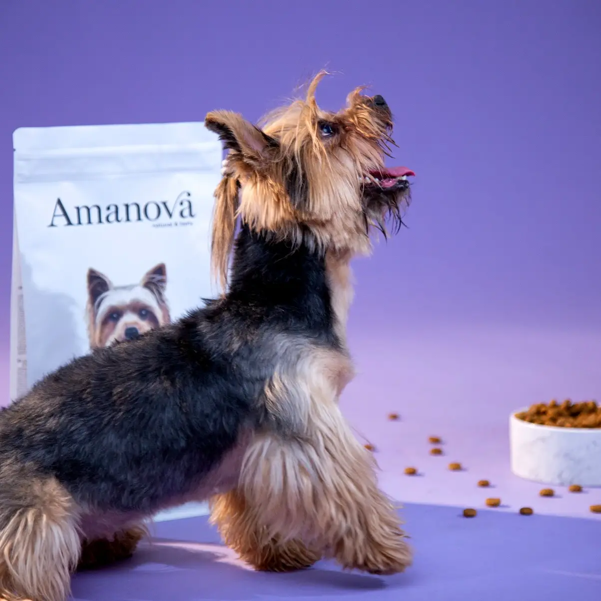 Amanova Kylling - Til små hunde – billede 8