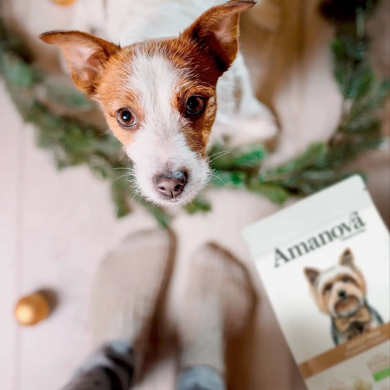 Amanova Kylling - Til små hunde – billede 6