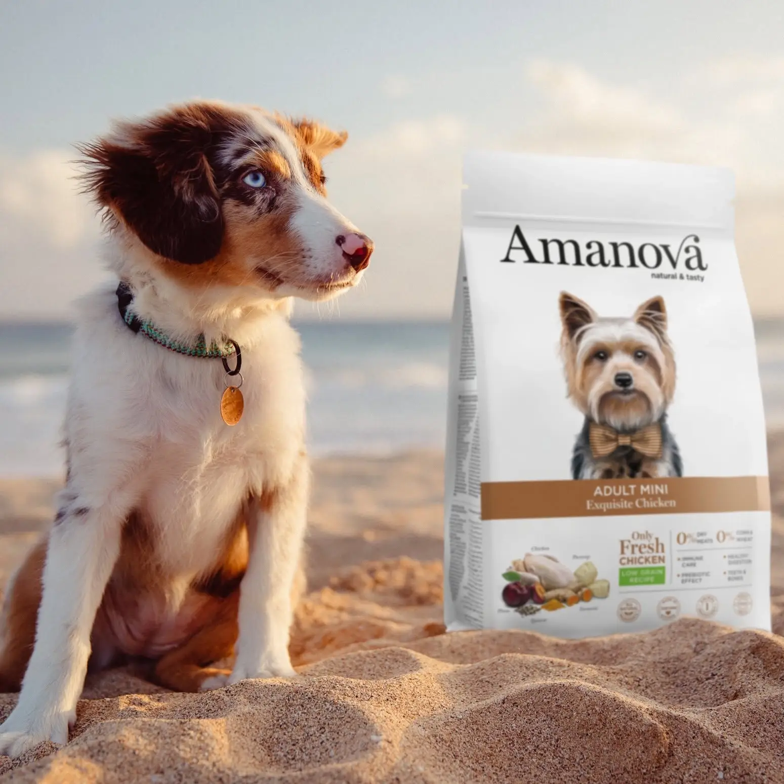 Amanova Kylling - Til små hunde – billede 5