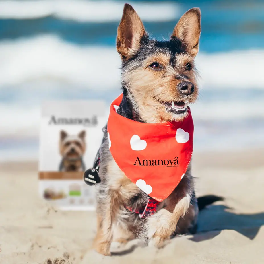 Amanova Kylling - Til små hunde – billede 9