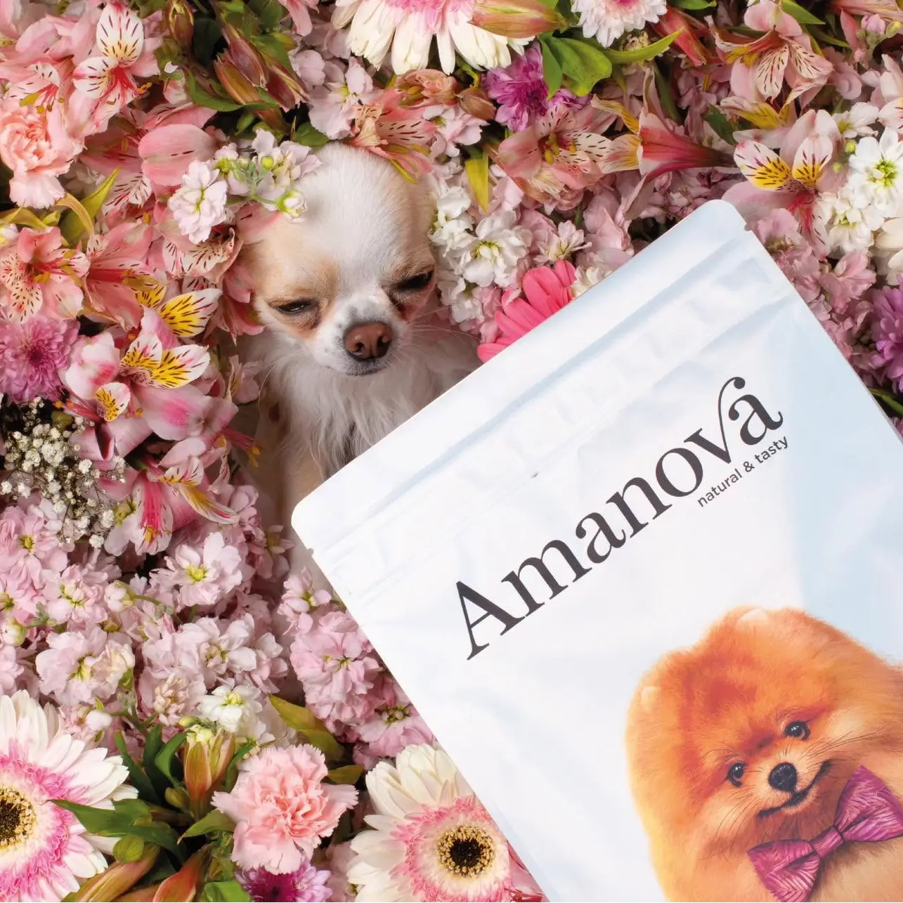 Laks Sensitiv - Til små hunde