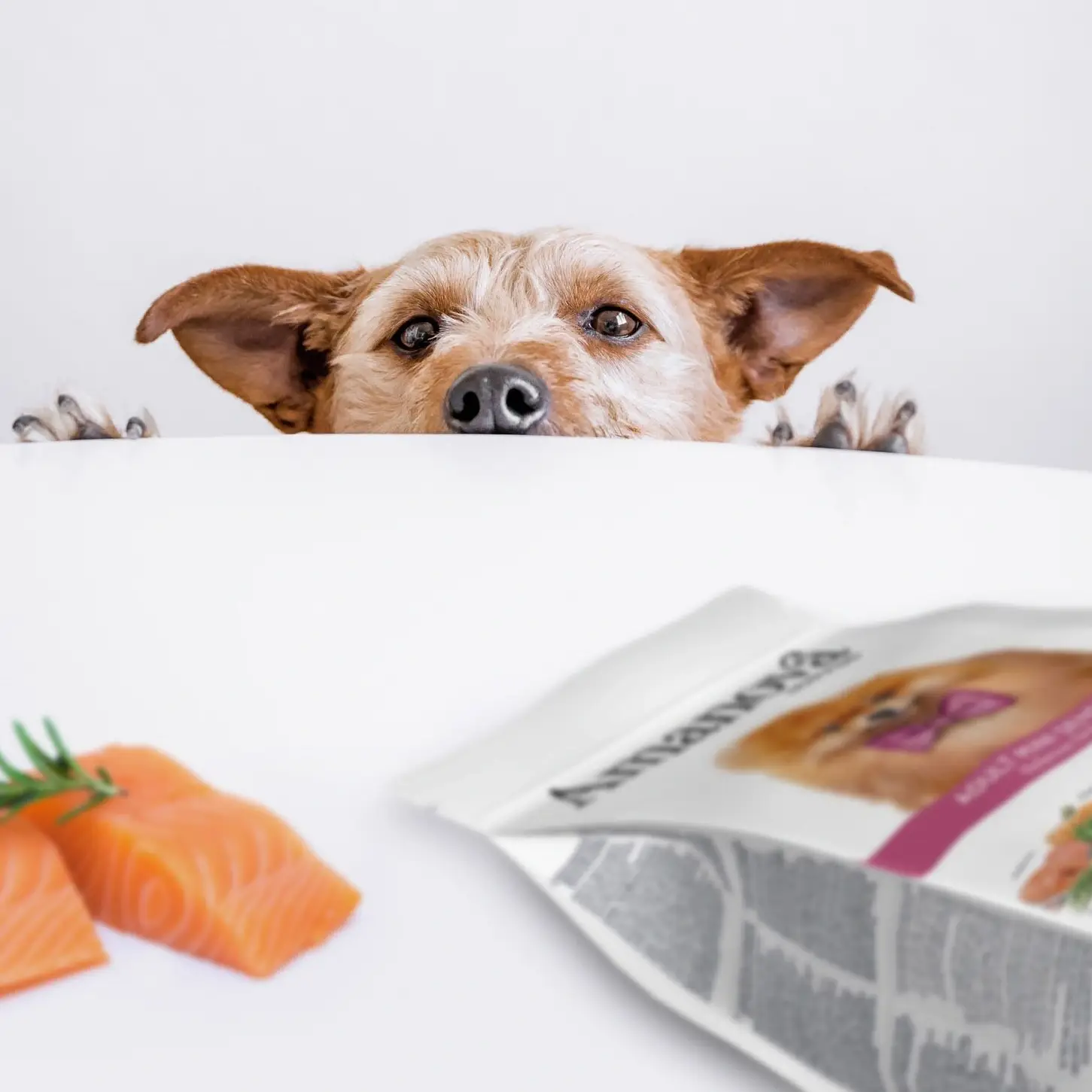 Amanova Laks Sensitiv - Til små hunde – billede 9