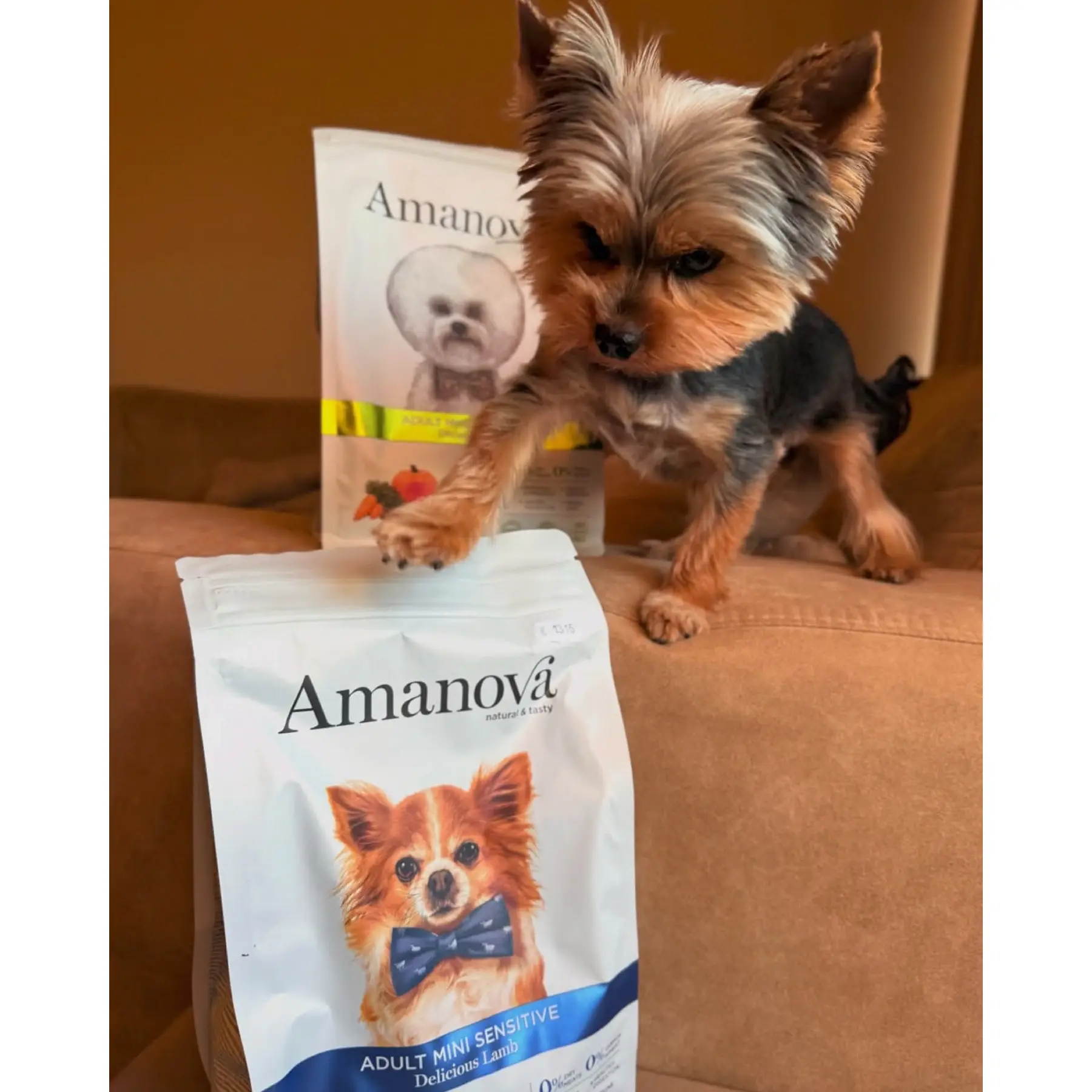 Amanova Lam - Til små hunde – billede 7