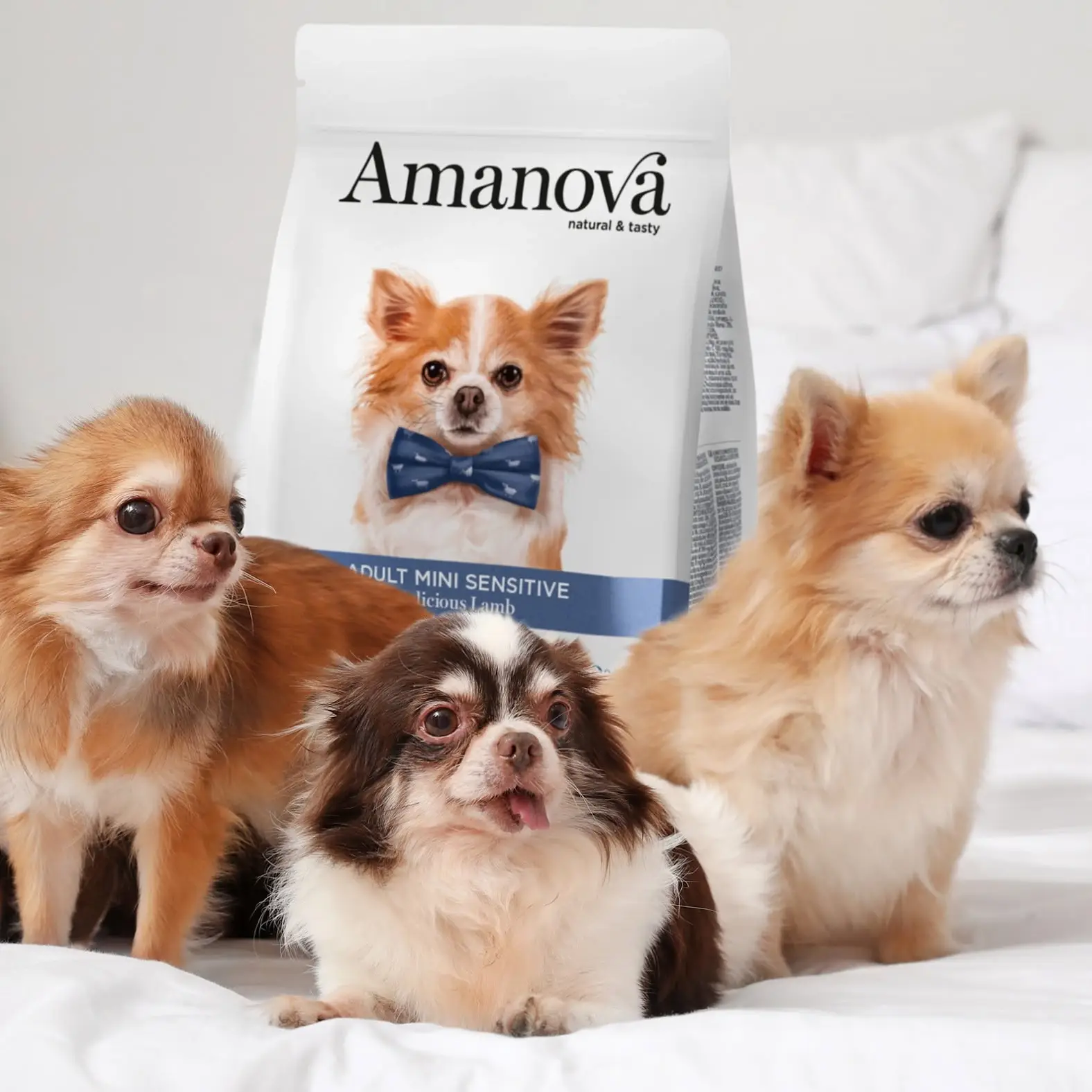 Amanova Lam - Til små hunde – billede 3