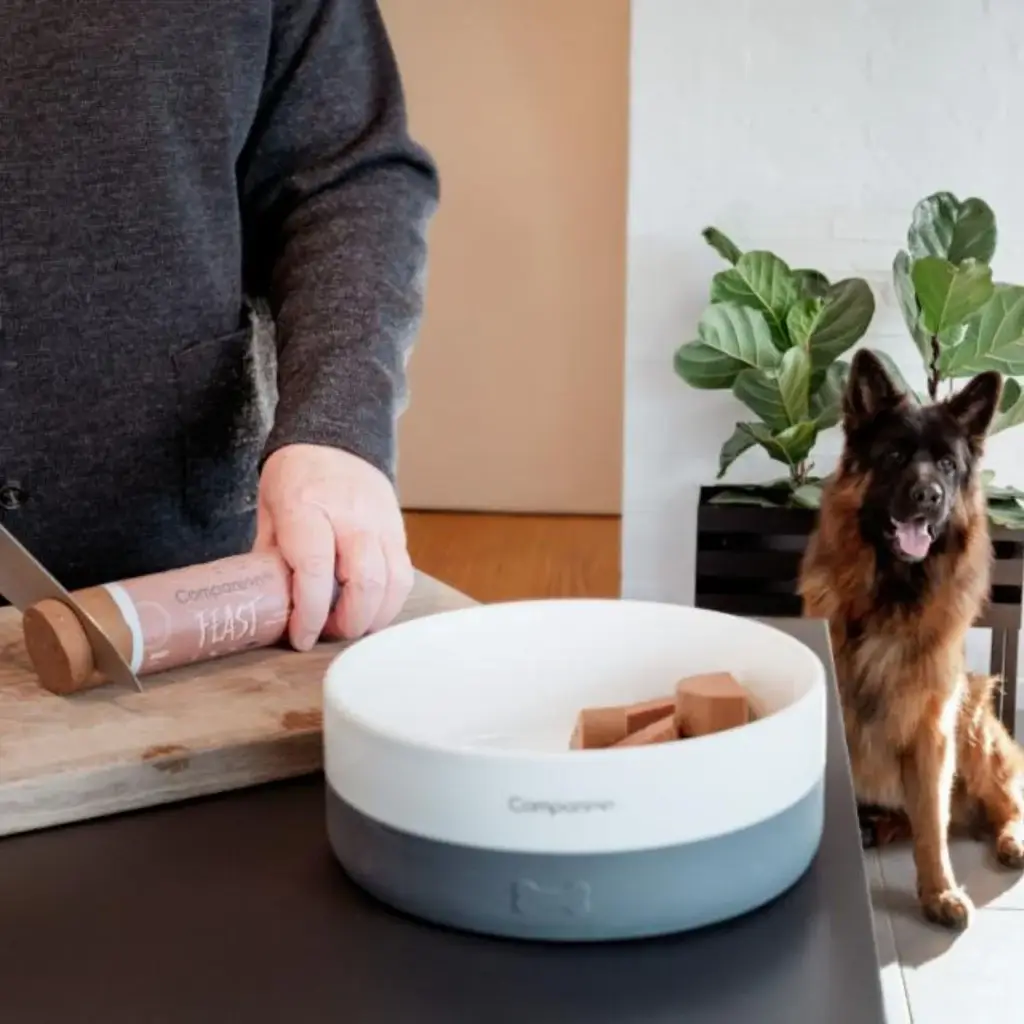 Companion Keramik Hundeskål Med Silikonebund – billede 3