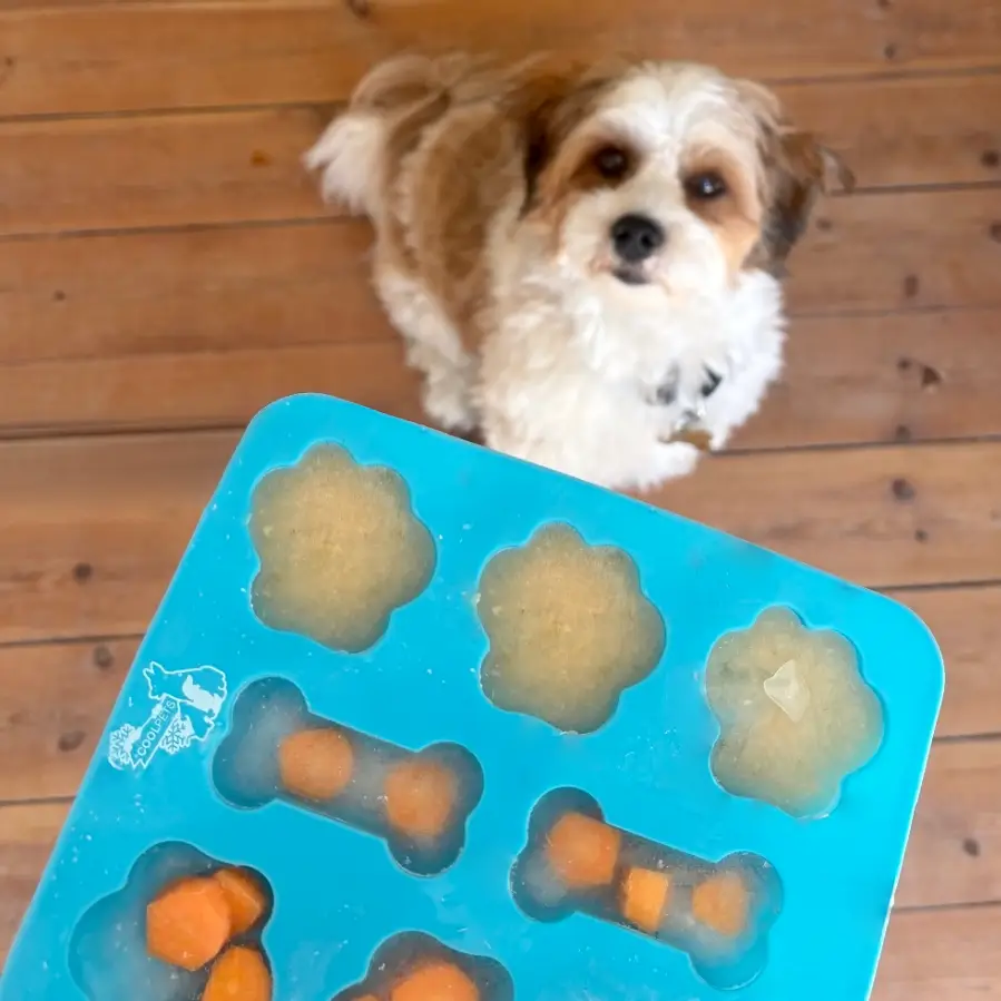Coolpets Silikoneform Til Hundeis – billede 4