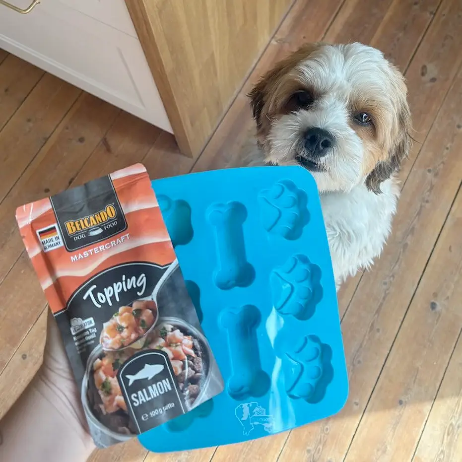 Coolpets Silikoneform Til Hundeis – billede 6
