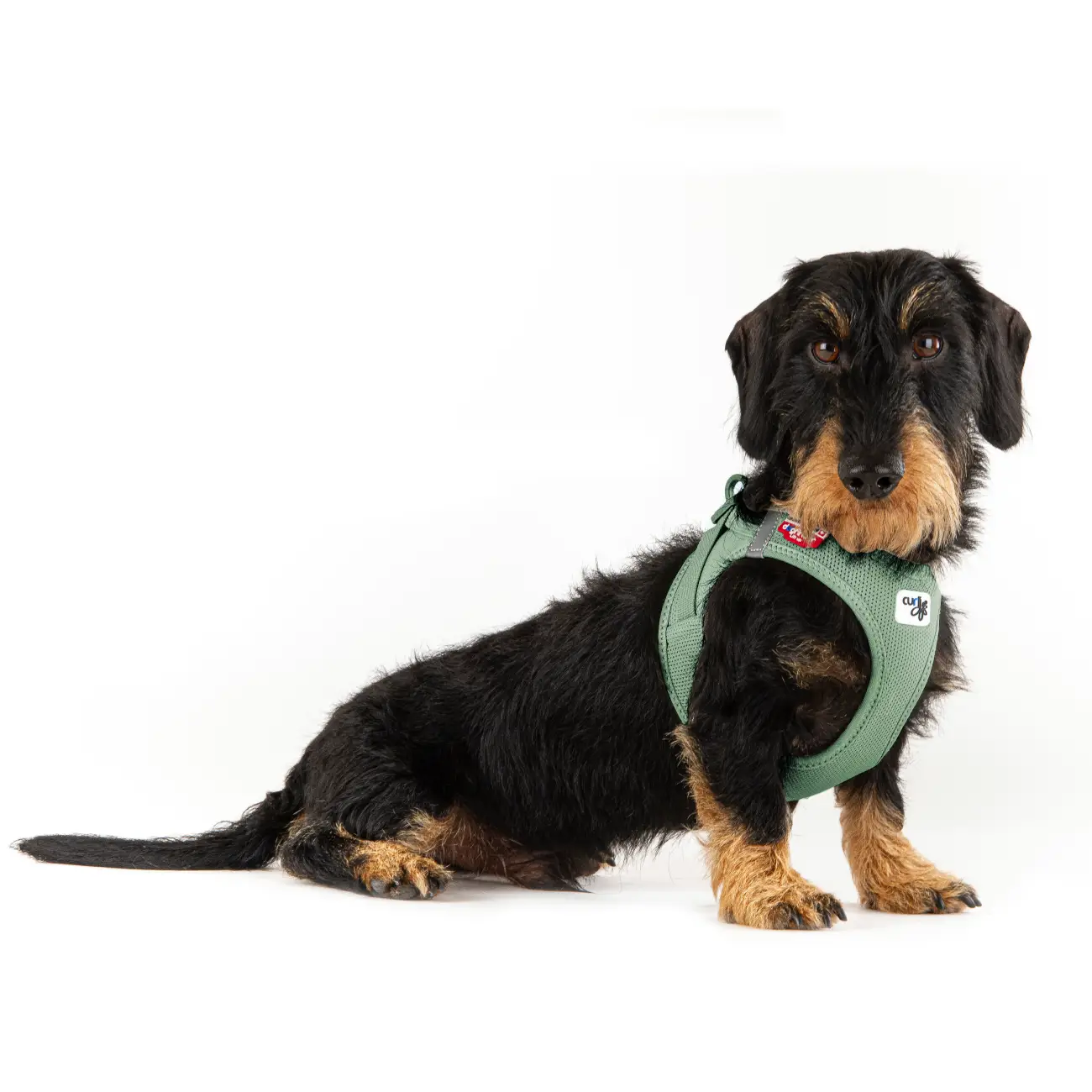 Curli Air Mesh Step-in Hundesele – billede 8