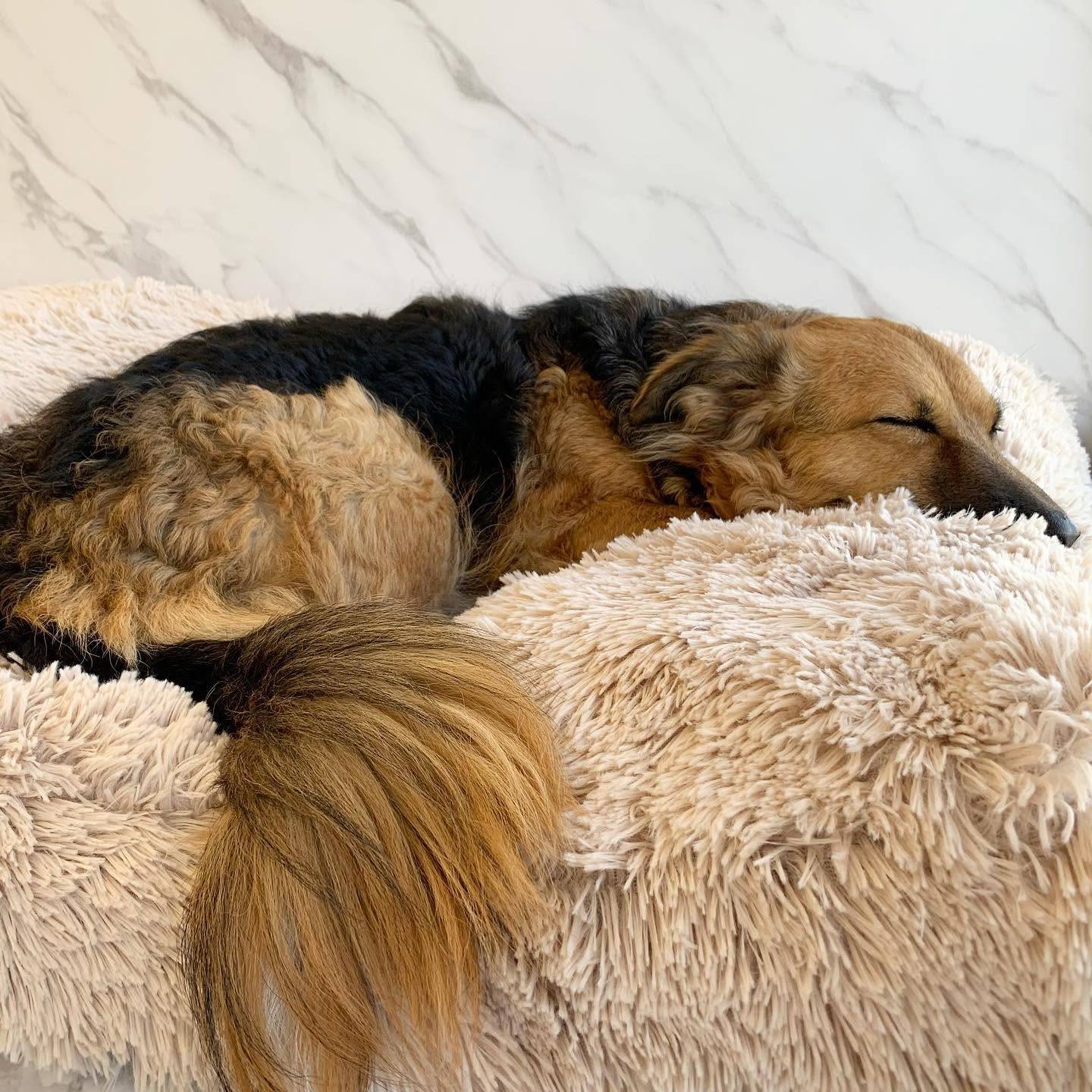 Deluxe Fluffy Hundepude – billede 2