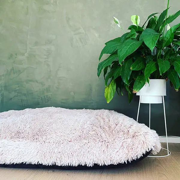 Deluxe Fluffy Hundepude – billede 4